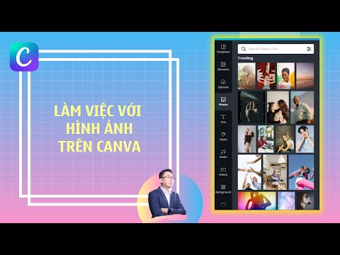 Hướng dẫn thiết kế với Canva: Giới thiệu về H&igrave;nh ảnh tr&ecirc;n Canva