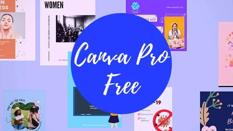 Bật m&iacute; c&aacute;ch d&ugrave;ng Canva Pro miễn ph&iacute; m&agrave; &iacute;t ai biết đến 4