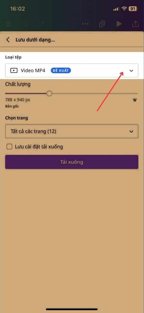 Chọn v&agrave;o mục&nbsp;Loại tệp